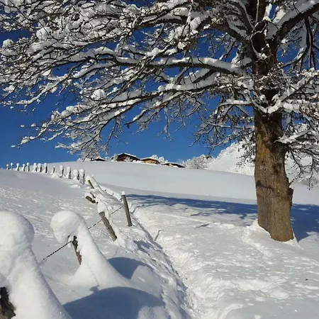 Bauernhof Buchberg Agroturismo