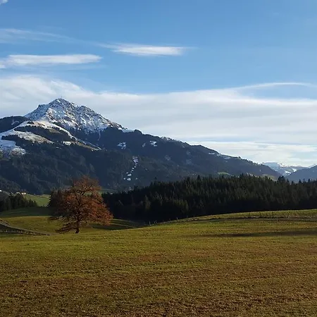 Bauernhof Buchberg Çiftlik konaklama Oberndorf in Tirol