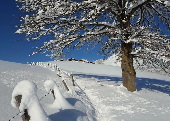 Bauernhof Buchberg ファームステイ